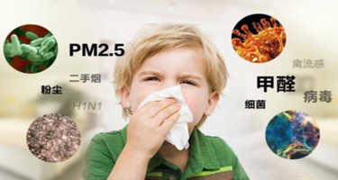 除甲醛最有效的方法是什么？